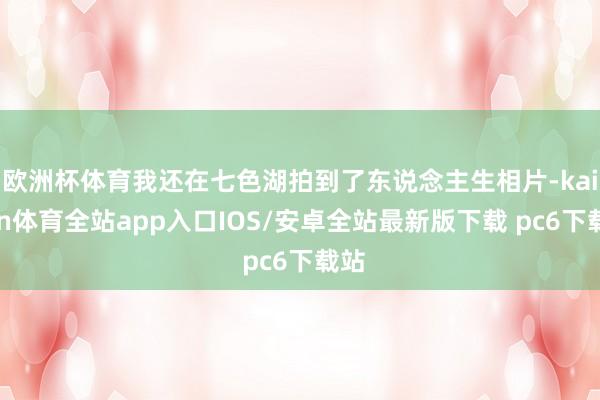 欧洲杯体育我还在七色湖拍到了东说念主生相片-kaiyun体育全站app入口IOS/安卓全站最新版下载 pc6下载站