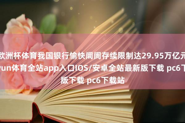 欧洲杯体育我国银行愉快阛阓存续限制达29.95万亿元-kaiyun体育全站app入口IOS/安卓全站最新版下载 pc6下载站