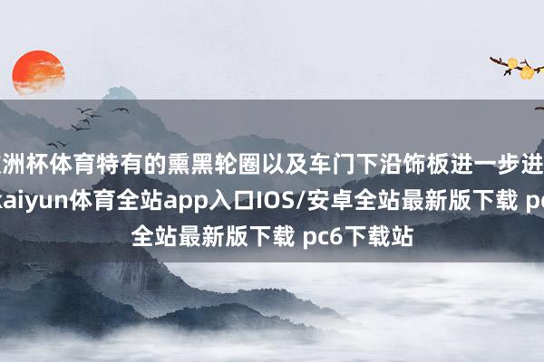 欧洲杯体育特有的熏黑轮圈以及车门下沿饰板进一步进步了个性-kaiyun体育全站app入口IOS/安卓全站最新版下载 pc6下载站