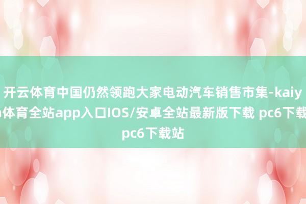 开云体育中国仍然领跑大家电动汽车销售市集-kaiyun体育全站app入口IOS/安卓全站最新版下载 pc6下载站