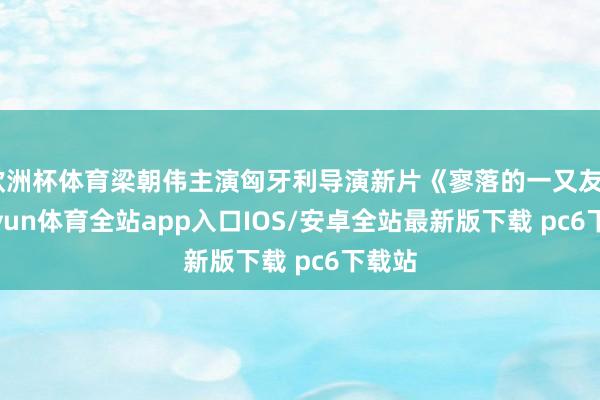 欧洲杯体育梁朝伟主演匈牙利导演新片《寥落的一又友》-kaiyun体育全站app入口IOS/安卓全站最新版下载 pc6下载站