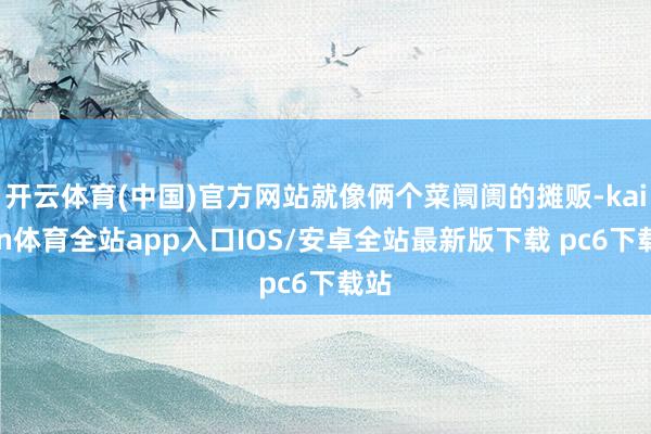 开云体育(中国)官方网站就像俩个菜阛阓的摊贩-kaiyun体育全站app入口IOS/安卓全站最新版下载 pc6下载站