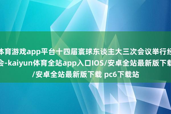 体育游戏app平台十四届寰球东谈主大三次会议举行经济主题记者会-kaiyun体育全站app入口IOS/安卓全站最新版下载 pc6下载站