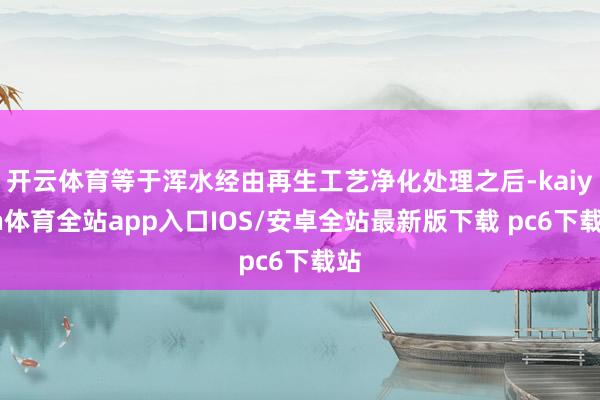开云体育等于浑水经由再生工艺净化处理之后-kaiyun体育全站app入口IOS/安卓全站最新版下载 pc6下载站
