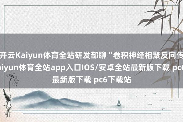 开云Kaiyun体育全站研发部聊“卷积神经相聚反向传播”-kaiyun体育全站app入口IOS/安卓全站最新版下载 pc6下载站