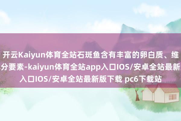 开云Kaiyun体育全站石斑鱼含有丰富的卵白质、维生素、矿物资等养分要素-kaiyun体育全站app入口IOS/安卓全站最新版下载 pc6下载站