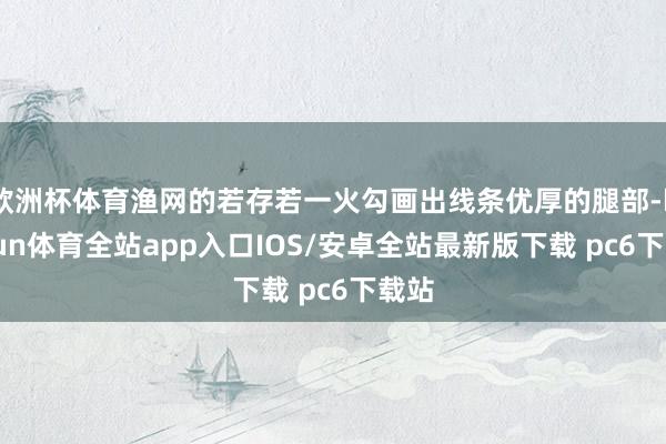 欧洲杯体育渔网的若存若一火勾画出线条优厚的腿部-kaiyun体育全站app入口IOS/安卓全站最新版下载 pc6下载站