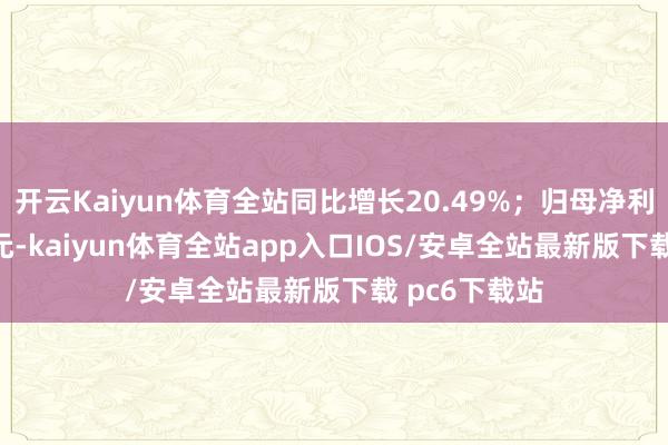 开云Kaiyun体育全站同比增长20.49%；归母净利润99.64亿元-kaiyun体育全站app入口IOS/安卓全站最新版下载 pc6下载站