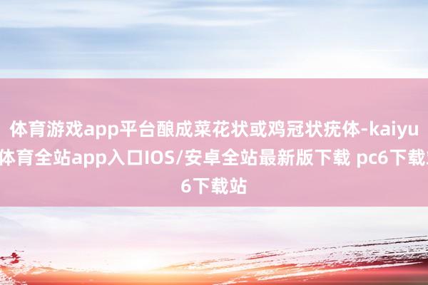 体育游戏app平台酿成菜花状或鸡冠状疣体-kaiyun体育全站app入口IOS/安卓全站最新版下载 pc6下载站