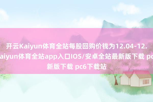 开云Kaiyun体育全站每股回购价钱为12.04-12.1港元-kaiyun体育全站app入口IOS/安卓全站最新版下载 pc6下载站