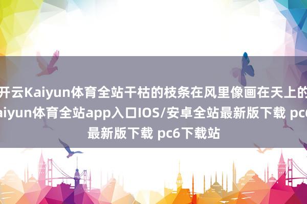 开云Kaiyun体育全站干枯的枝条在风里像画在天上的线条-kaiyun体育全站app入口IOS/安卓全站最新版下载 pc6下载站