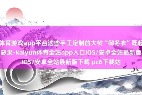 体育游戏app平台这些手工定制的大树“御冬衣”既起到了御寒御寒的恶果-kaiyun体育全站app入口IOS/安卓全站最新版下载 pc6下载站