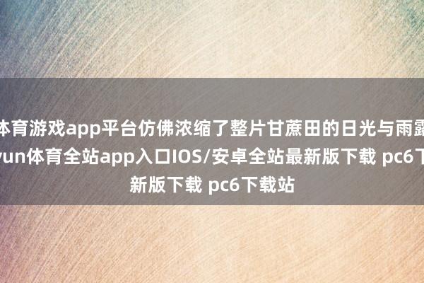 体育游戏app平台仿佛浓缩了整片甘蔗田的日光与雨露-kaiyun体育全站app入口IOS/安卓全站最新版下载 pc6下载站