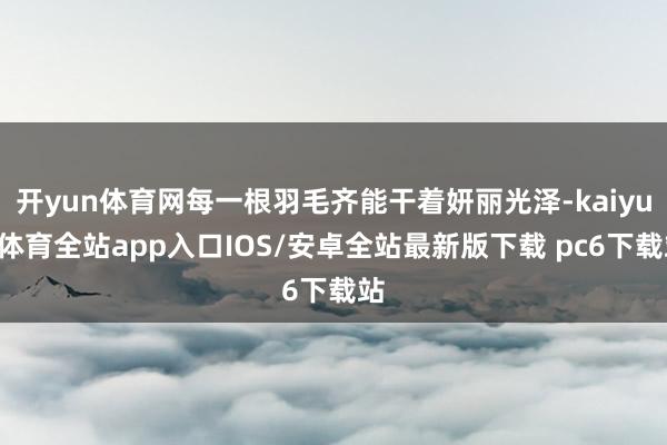 开yun体育网每一根羽毛齐能干着妍丽光泽-kaiyun体育全站app入口IOS/安卓全站最新版下载 pc6下载站
