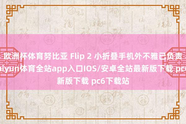 欧洲杯体育努比亚 Flip 2 小折叠手机外不雅已负责公布-kaiyun体育全站app入口IOS/安卓全站最新版下载 pc6下载站