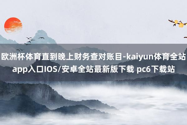 欧洲杯体育直到晚上财务查对账目-kaiyun体育全站app入口IOS/安卓全站最新版下载 pc6下载站