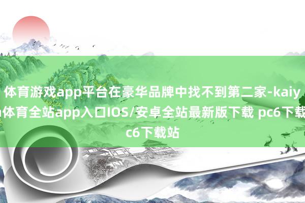 体育游戏app平台在豪华品牌中找不到第二家-kaiyun体育全站app入口IOS/安卓全站最新版下载 pc6下载站
