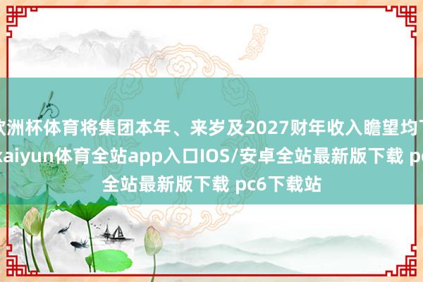 欧洲杯体育将集团本年、来岁及2027财年收入瞻望均下调12%-kaiyun体育全站app入口IOS/安卓全站最新版下载 pc6下载站