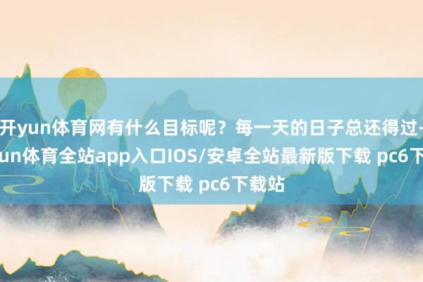 开yun体育网有什么目标呢？每一天的日子总还得过-kaiyun体育全站app入口IOS/安卓全站最新版下载 pc6下载站