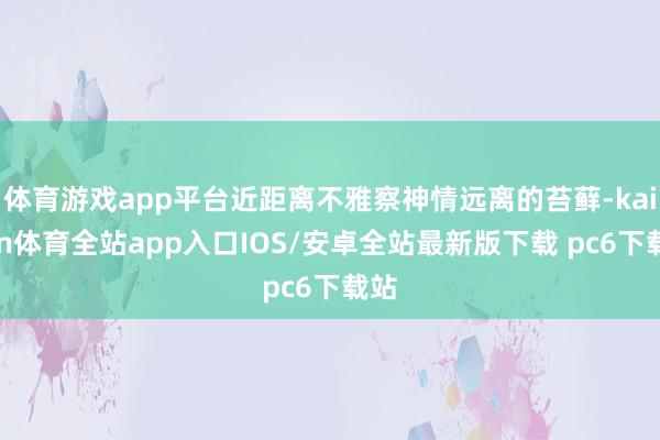体育游戏app平台近距离不雅察神情远离的苔藓-kaiyun体育全站app入口IOS/安卓全站最新版下载 pc6下载站