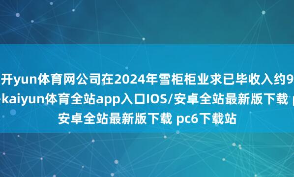 开yun体育网公司在2024年雪柜柜业求已毕收入约92.96亿元-kaiyun体育全站app入口IOS/安卓全站最新版下载 pc6下载站