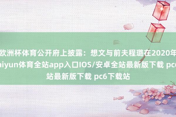 欧洲杯体育公开府上披露：想文与前夫程璐在2020年差别-kaiyun体育全站app入口IOS/安卓全站最新版下载 pc6下载站