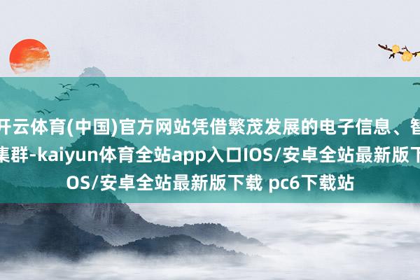 开云体育(中国)官方网站凭借繁茂发展的电子信息、智能制造等产业集群-kaiyun体育全站app入口IOS/安卓全站最新版下载 pc6下载站