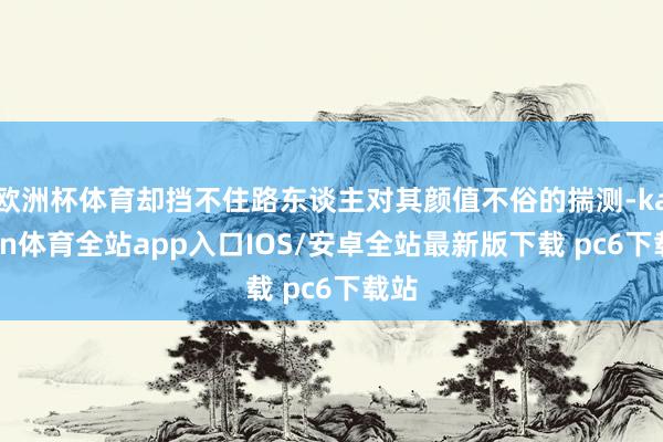 欧洲杯体育却挡不住路东谈主对其颜值不俗的揣测-kaiyun体育全站app入口IOS/安卓全站最新版下载 pc6下载站