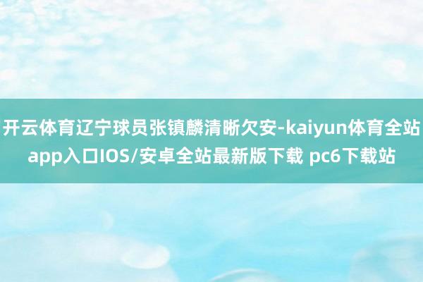 开云体育辽宁球员张镇麟清晰欠安-kaiyun体育全站app入口IOS/安卓全站最新版下载 pc6下载站